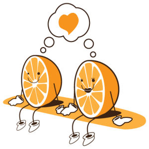 Cuál es el concepto de encontrar a tu media naranja?